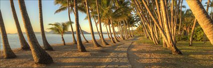 Palm Cove - QLD H (PBH4 00 14942)